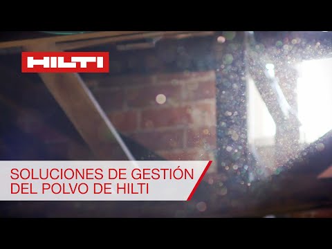 Polvo
