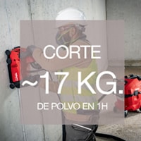 Protección contra el polvo