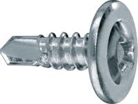 Tornillos para marcos autotaladrantes S-DD 03 Z 02 Tornillo interior para marcos metálicos con cabeza alomada (galvanizados) para la fijación de montantes a carriles