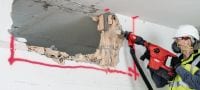 Cinceles planos TE-YX FM Puntas de cincel plano SDS Max (TE-Y) autoafilables para tareas de demolición de precisión de hormigón y mampostería Aplicaciones 1